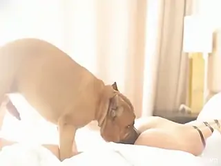 Slender babe tries dog dick from behind in sensual rounds