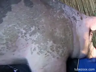 Fat pig fucks nude woman in the pussy and comes on her fine ass