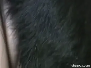 Horny mature blonde gets fucked by her dog in homemade XXX