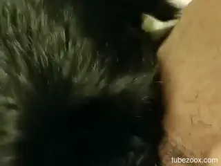 Aroused man inserts cock in a dog pussy for surreal cam pleasures