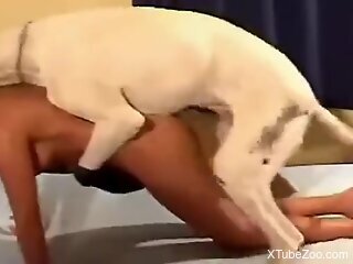 Thin blonde feels dog's entire dick tearing through her cunt