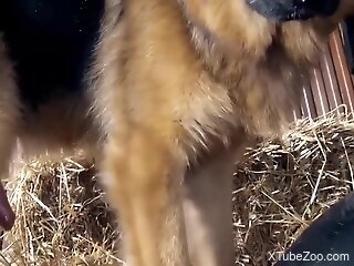 Nude babe with nice ass gets deep fucked by the pig