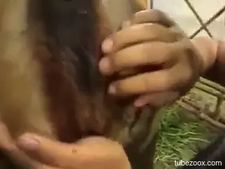 Amateur girl tries first scat perversions in a dirty zoophilia