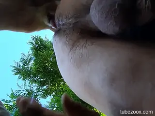 Dog fucks naked man in the ass and impregnates him