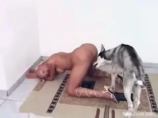 Tanned slut filmed hen the dog licks her precious holes