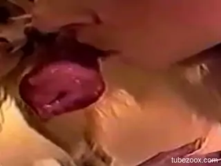 Two lesbians are sucking dog's penis
