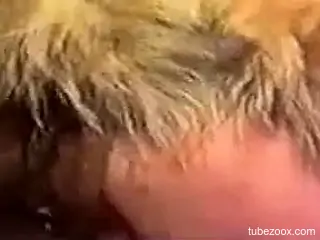 Two horny sluts are sucking dog's dick
