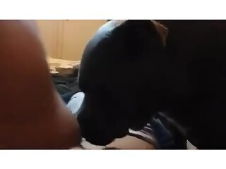 Chubby mature amateur zoo fuck extravaganza