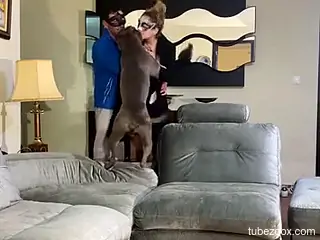 Masked slut is being intensively fucked by a dog