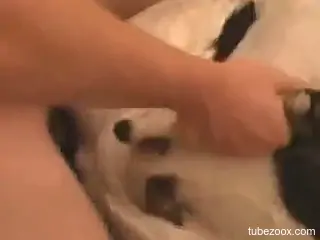 Slow dog fucking makes her pussy so wet