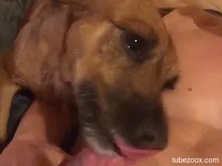 Horny dude plays with cock as dog watches