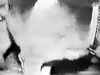 Vintage videos of sensational animal fucking