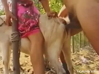 Naughty couple in threesome with animal