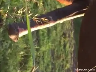 Huge mandigo horse dick is all she wants