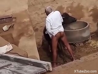 Ebony zoophile was caught having sex with a cow