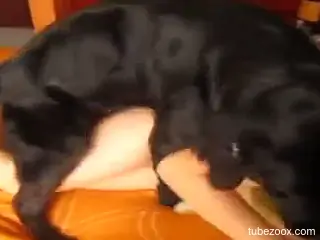 hot slut plays erotic games with the dog in homemade XXX