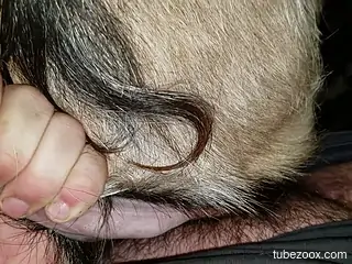 Don't miss a chance to enjoy close-up view at zoo sex