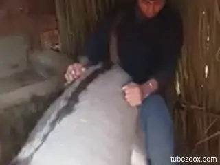 Zoophile cannot stop enjoying zoo sex with a pony
