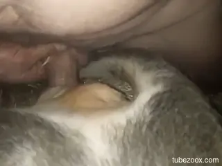 Zoophile is filming his own bestiality