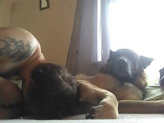 Tattooed zoophile is giving a blowjob to his dog