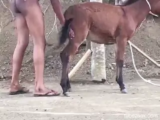 Amateur male fucks donkey in the ass while being taped