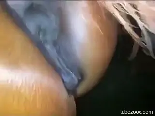 Zoophile is fingering and licking horse's hole