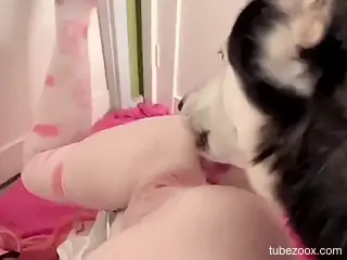Dog licks woman's juicy cunt so good that she comes in hot modes