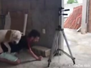 Clothed guy gets his ass fucked by the dog in amateur scenes