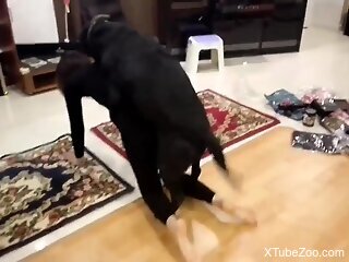 Sexy slut stands in all four and enjoys dog dick in the pussy