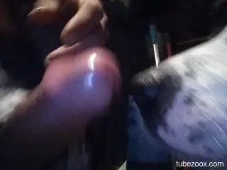 Amateur man completes his sexual fantasies by fucking the dog