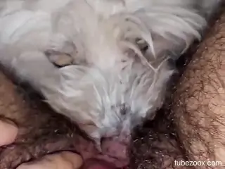 Hairy woman with a big clit experiences first zoophilia moments