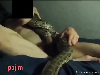 Solo man jerks off and plays with his pet snake