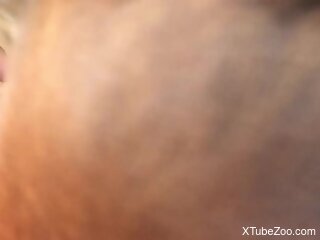 Amateur man loves it when the dog licks his cock in such a sloppy mode