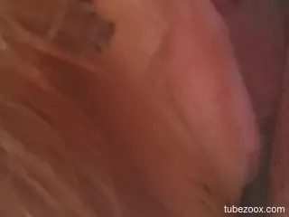 Amateur male inserts while cock in the dog's pussy for loud fun